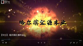 -哈爾濱匯源木業(yè)視頻彩鈴