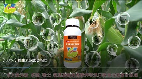 維生素多肽功能肥彩鈴