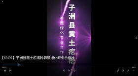子洲縣黃土疙瘩養殖綠化