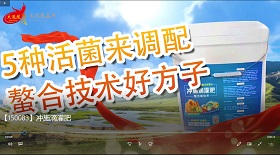 沖施滴灌肥視頻彩鈴