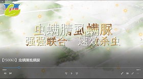 蟲螨腈虱螨脲視頻彩鈴