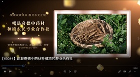 岷縣奇德中藥材種植專業(yè)
