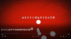 山東牛牛毛絨玩具宇昆