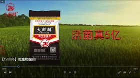 微生物菌劑視頻彩鈴