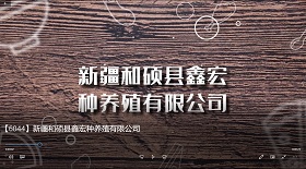 新疆和碩縣鑫宏種養(yǎng)殖