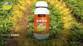 亞磷酸鉀視頻彩鈴