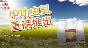 甲功蟲虱 視頻彩鈴