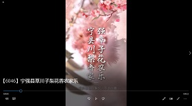寧強(qiáng)縣草川子梨花農(nóng)家樂